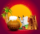 Pongal