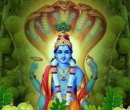 Amalaki Ekadashi