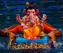 Ganesh Visarjan img