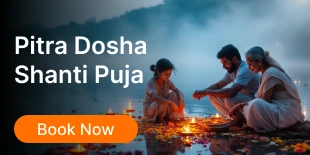 pitra-dosha-pooja image